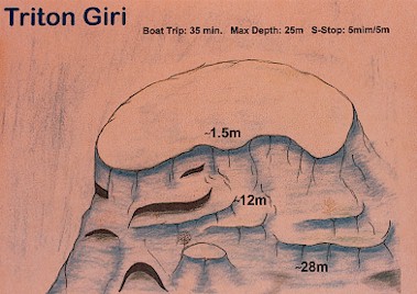 Triton Giri